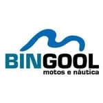 Yamaha Bingool